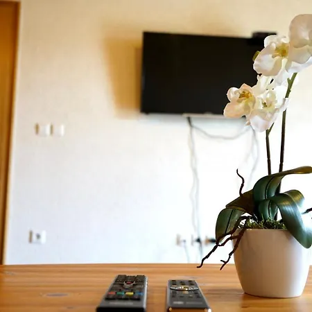 Family House Holiday home Zgornje Gorje